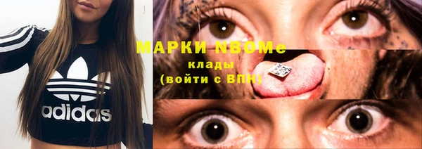 стафф Алзамай