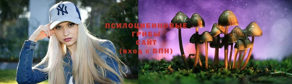 2c-b Алексеевка