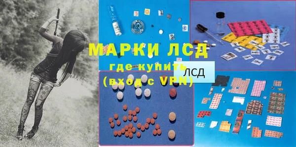 стафф Алзамай