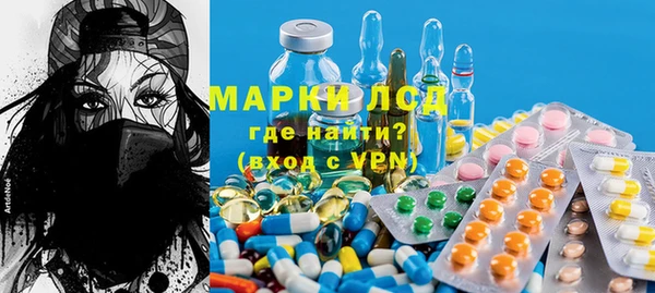 стафф Алзамай
