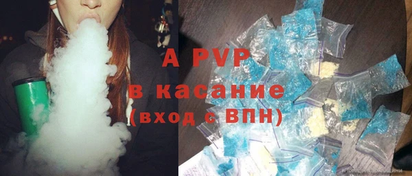 стафф Алзамай