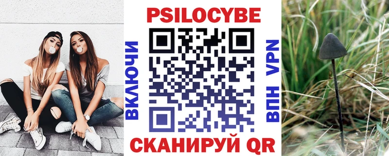 хочу наркоту  Узловая  Псилоцибиновые грибы Magic Shrooms 